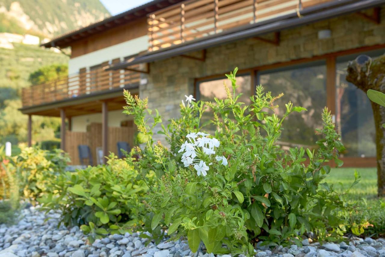 Agriturismo De Bas ريفا ديل غاردا المظهر الخارجي الصورة